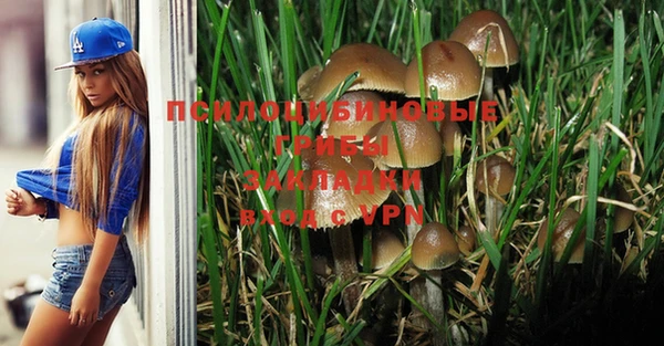 apvp Осинники