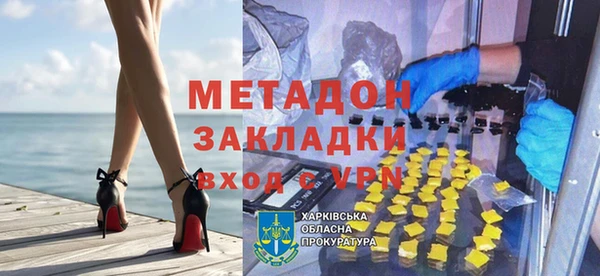 прущие грибы Пестово
