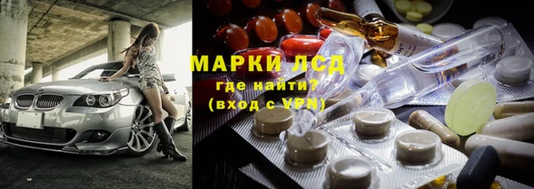 ГАЛЛЮЦИНОГЕННЫЕ ГРИБЫ Татарск