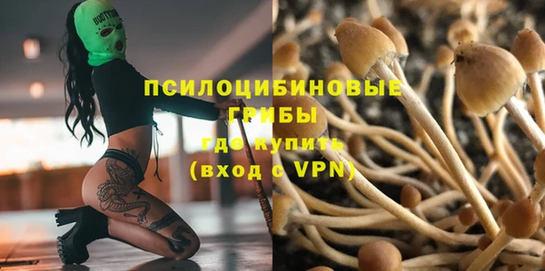 ПСИЛОЦИБИНОВЫЕ ГРИБЫ Переславль-Залесский