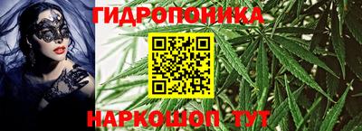 ешки Гатчина