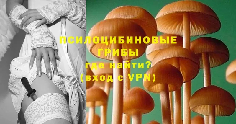 Псилоцибиновые грибы Magic Shrooms  даркнет сайт  Рубцовск 