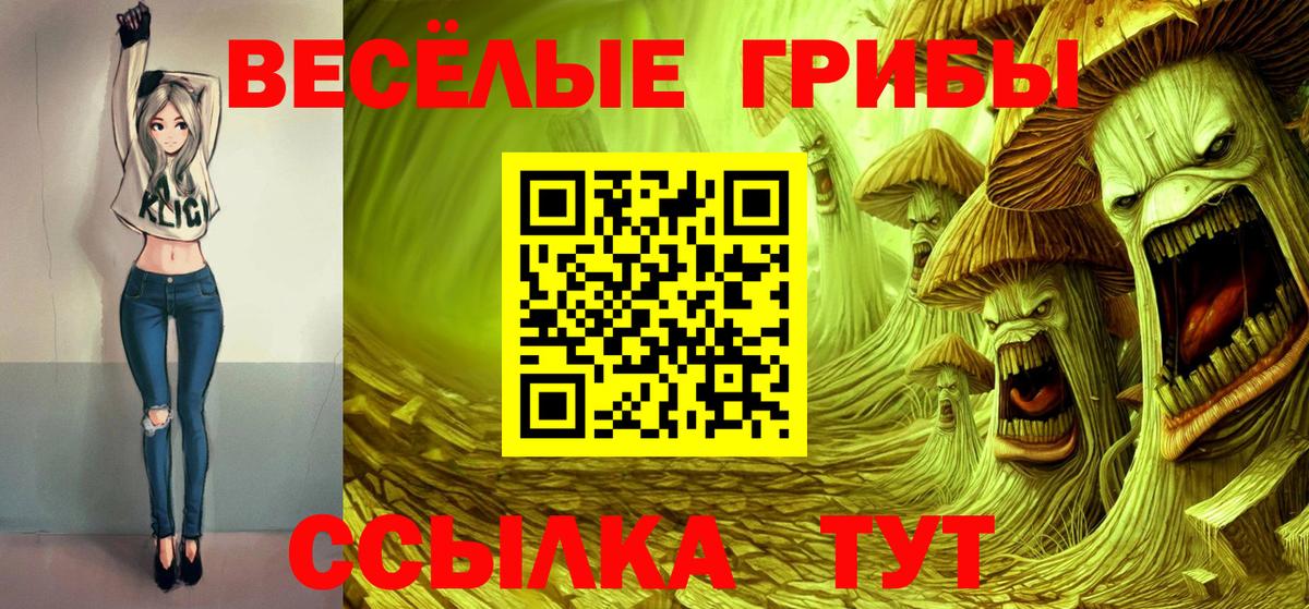 Рубцовск  Псилоцибиновые грибы GOLDEN TEACHER  Вход с VPN 
