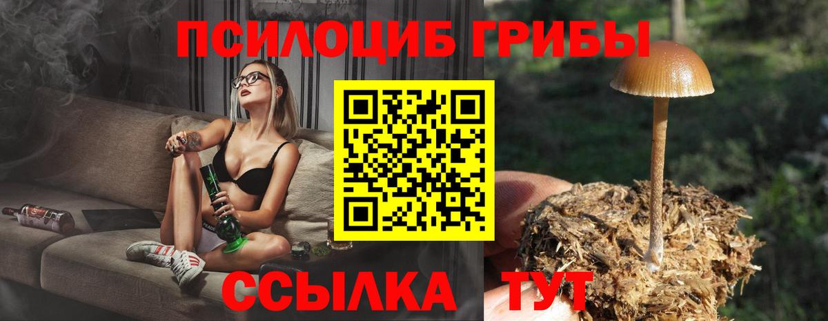Псилоцибиновые грибы ЛСД Рубцовск